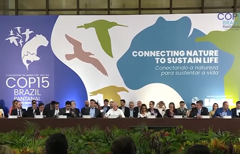 一分钟看拉美0403