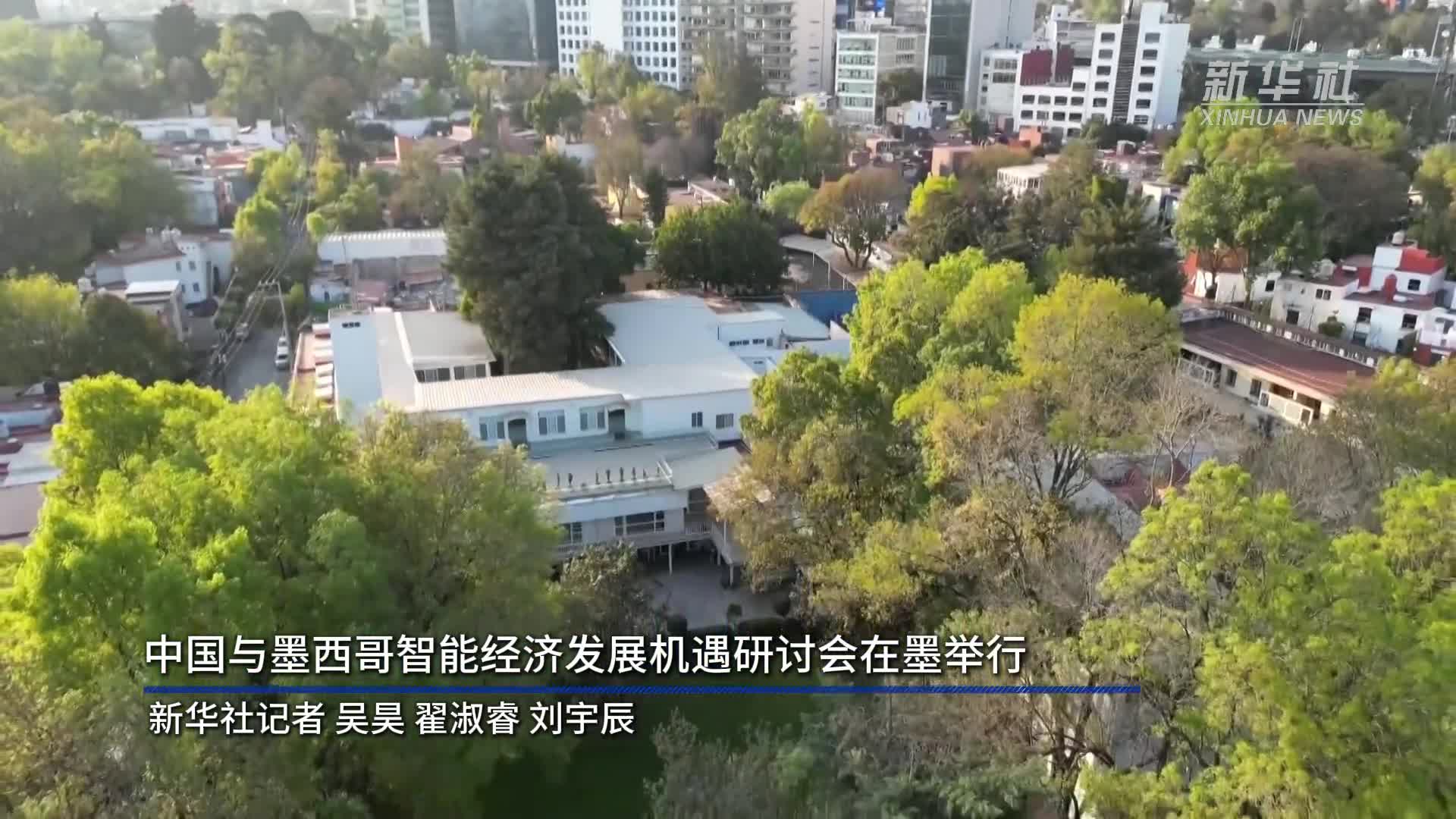 中国与墨西哥智能经济发展机遇研讨会在墨举行